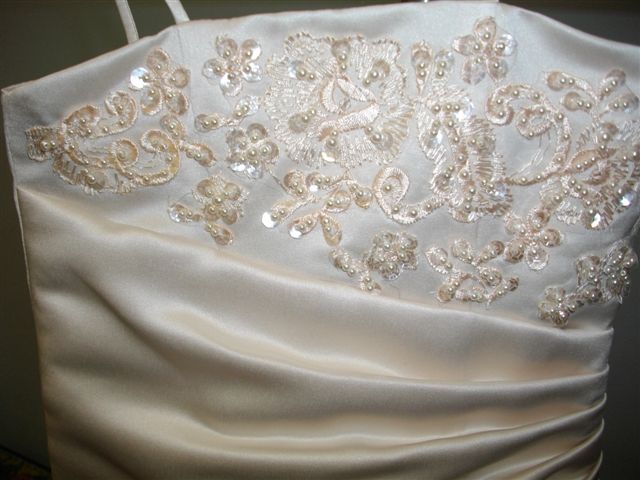Appliqued bodice dress shown in light champagne