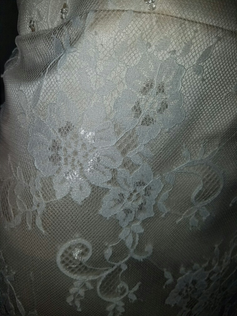 lined illusion lace dress