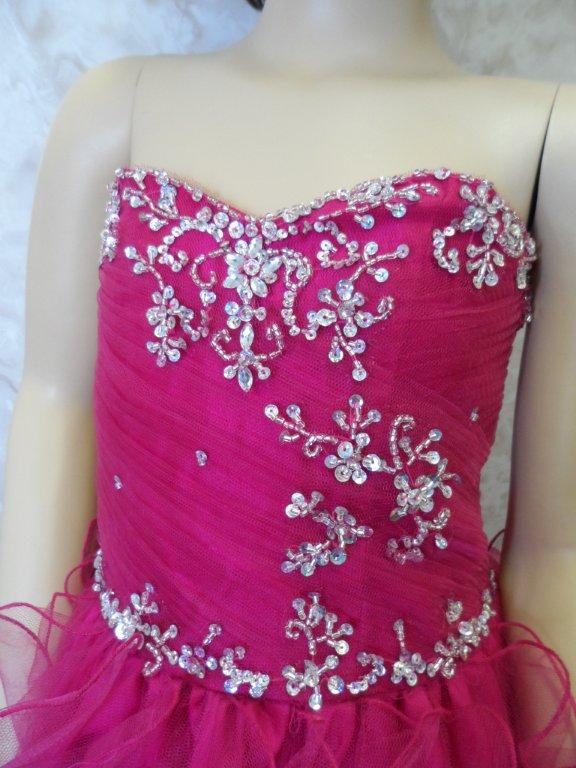 glittering gorgeous embroidered bodice