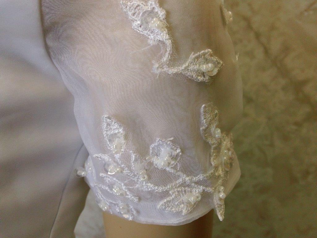sheer sleeves with beaded applique