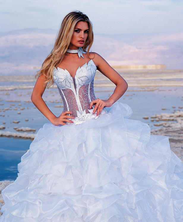 strapless corset wedding dress with matching choker