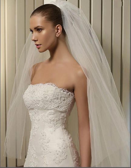 Bridal Jacket covers this elegant Bridal gown.