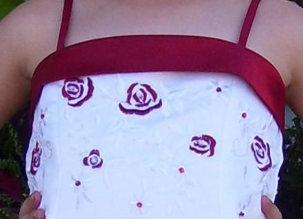 Apple Red corset
