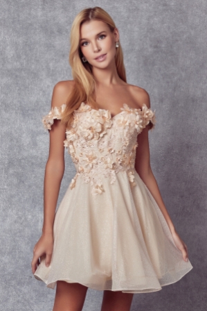 champagne cocktail dress 