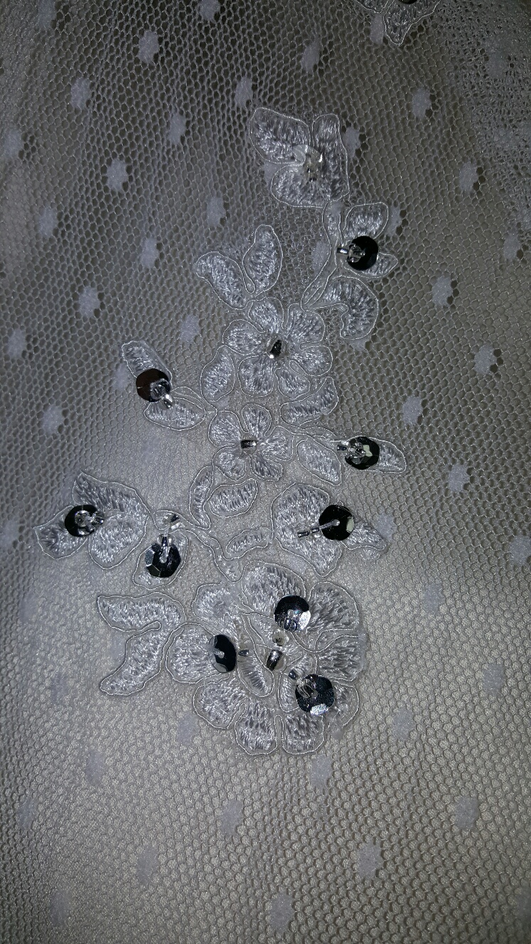 dotted tulle with lace applique