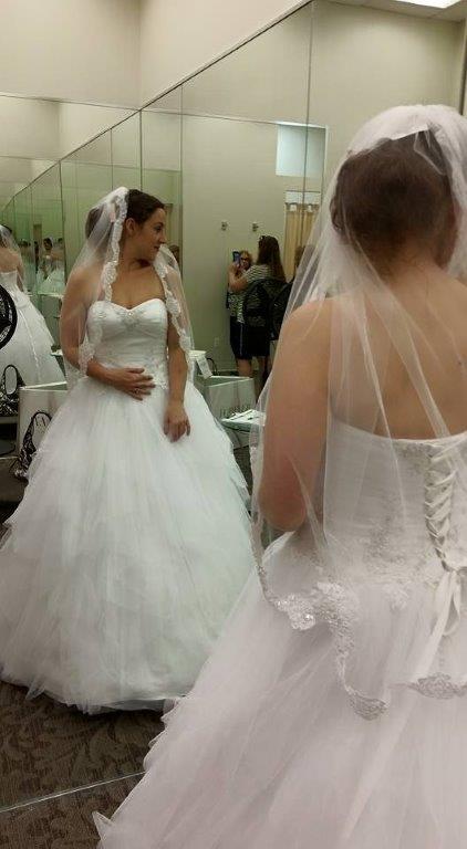 brides dress picture
