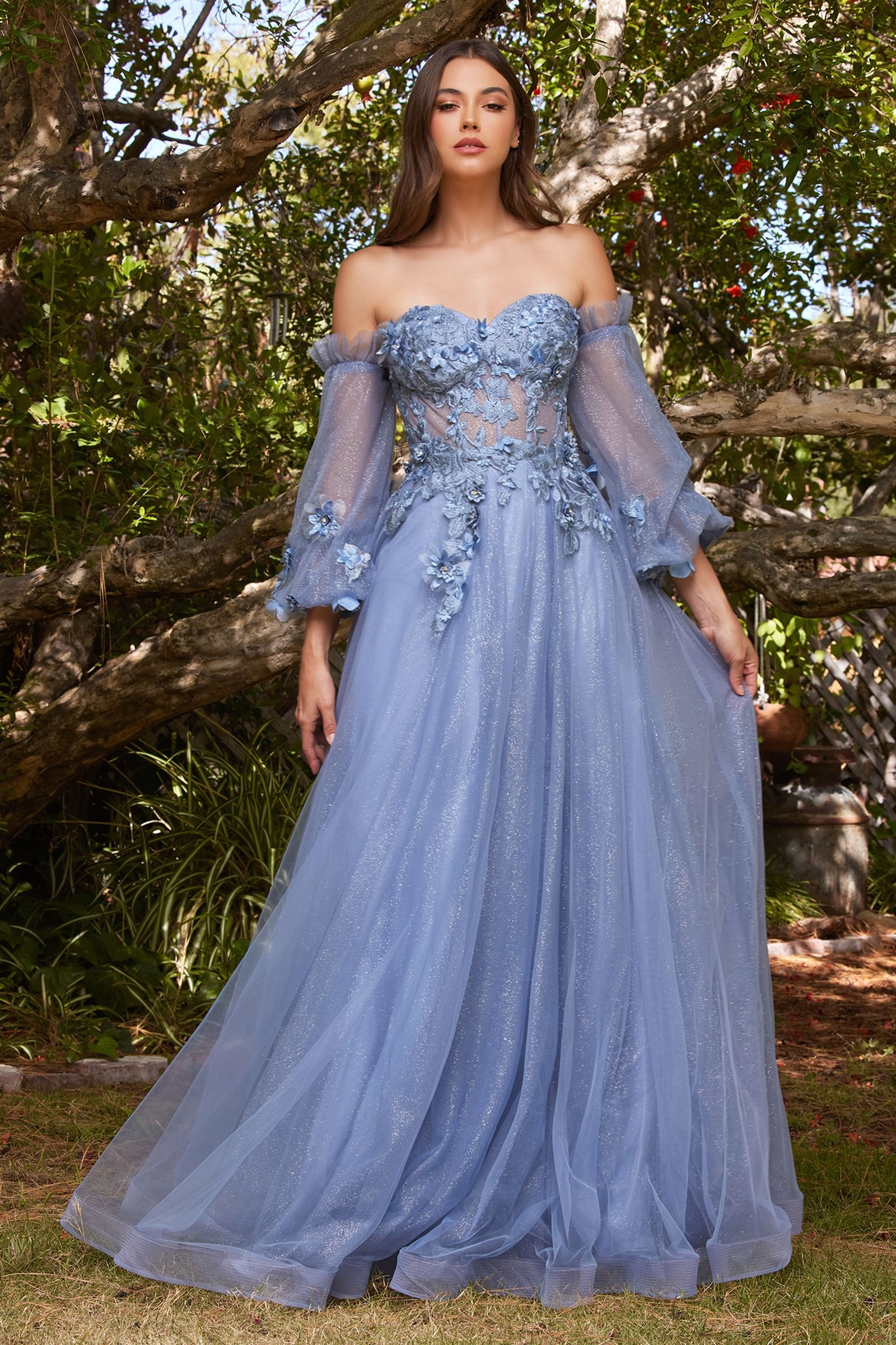 A princess floor-length gown featuring a sheer tulle corseted bodice