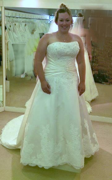 brides wedding dress