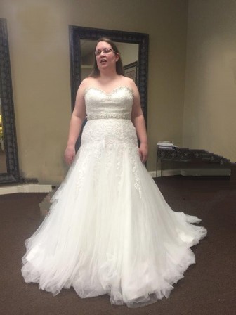 bridal gown picture to match 