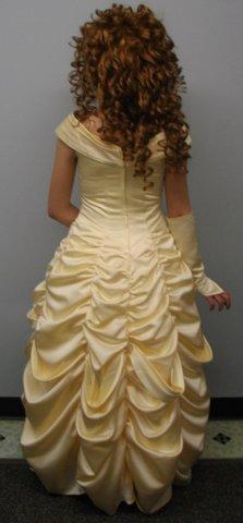 storybook Princess dress