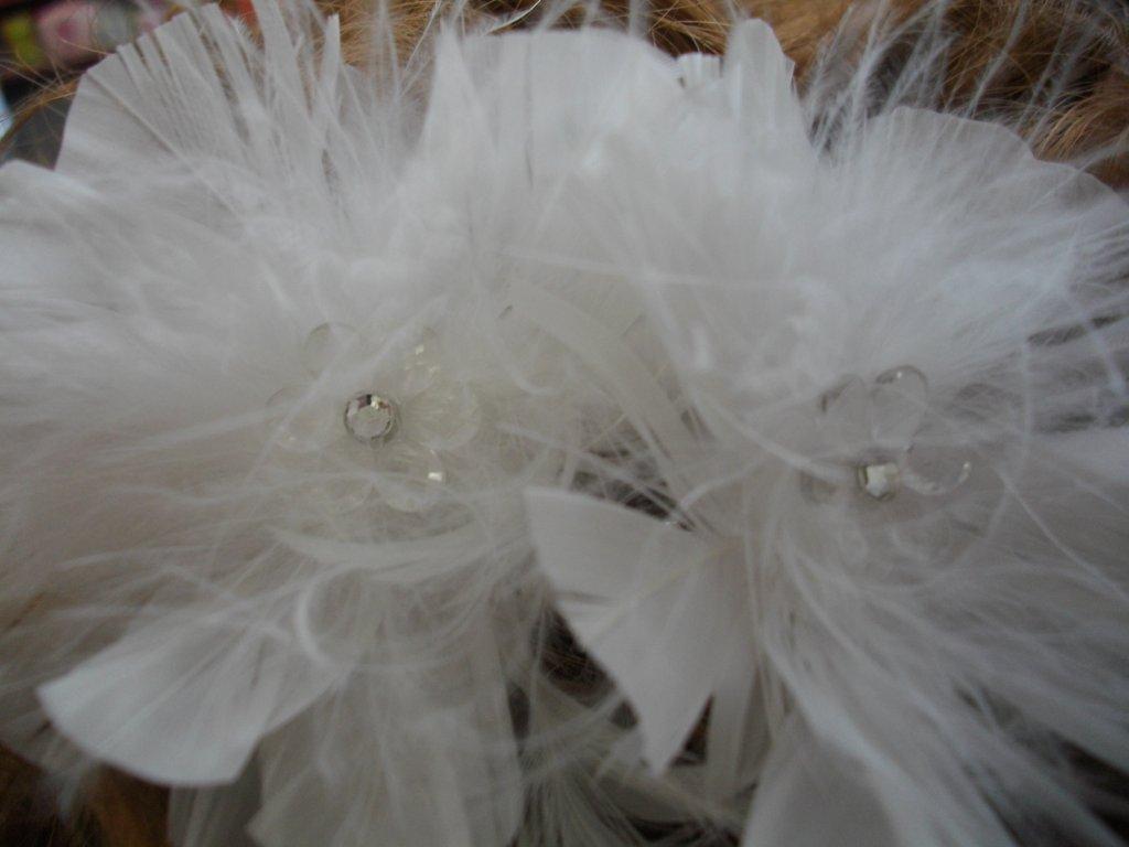 flowers and feather comb