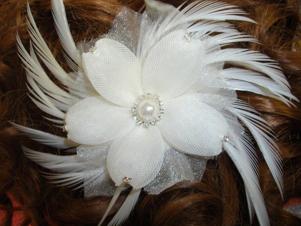 Bridal feather hair combs