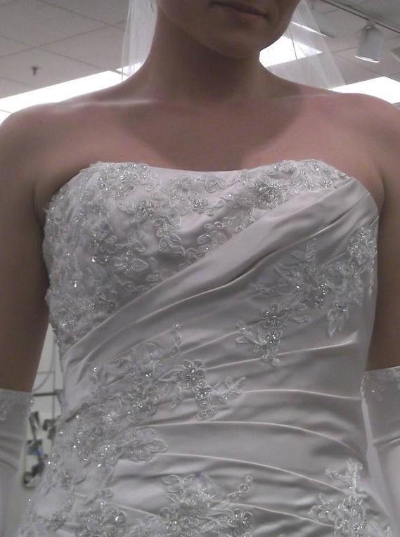 Brides photo to match my wedding gown